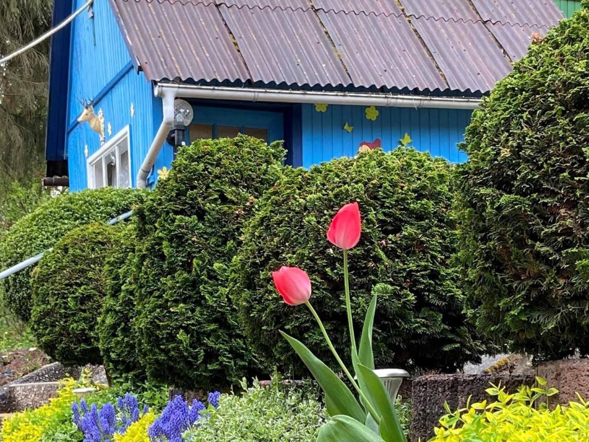 Ferienwohnung Hofmann-Trier Coburg Exteriör bild